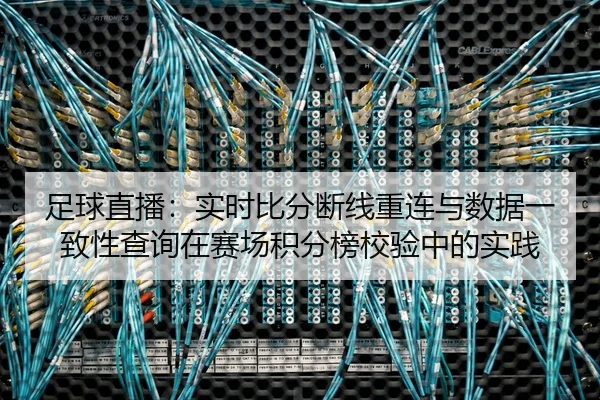 足球直播：实时比分断线重连与数据一致性查询在赛场积分榜校验中的实践